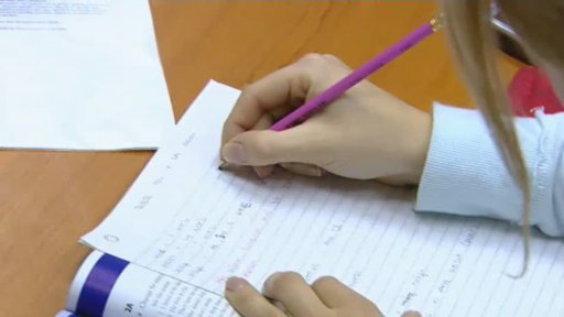 Cizí jazyk v zaměstnání