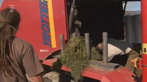 Příběh: Pracovní příležitost v Norsku