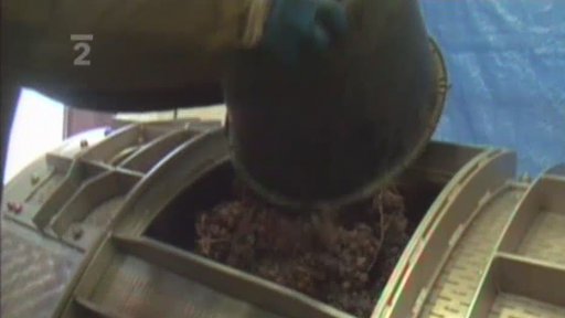 Lisování slámového vína