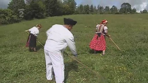 Šampionát v kosení