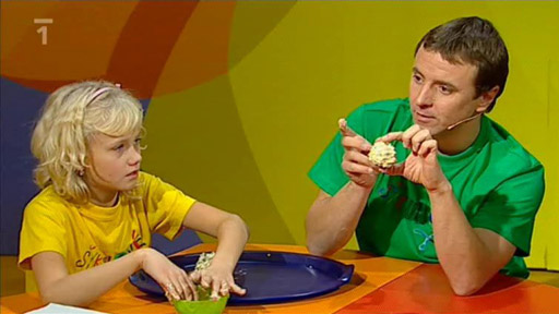 Krmítko pro ptáky (šiška)