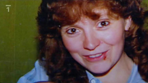 Zmizení Aleny Navrátilové