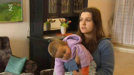 Dobrovolnictví je záslužná činnost