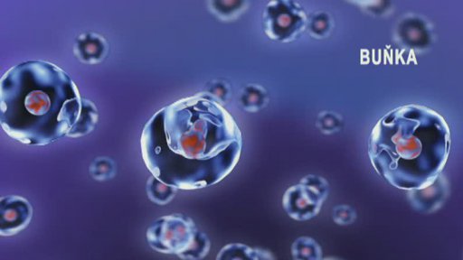 Dědičný Alzheimer