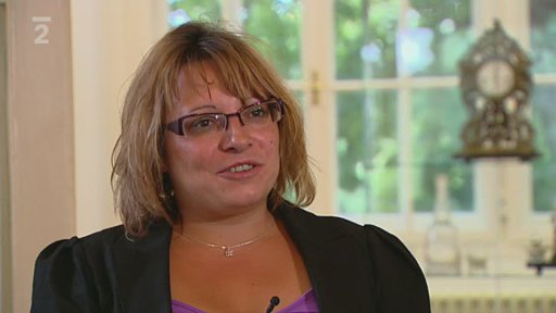 Vila továrníka Flemmicha v Krnově