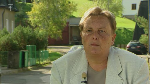 Zmizení Aleny Navrátilové