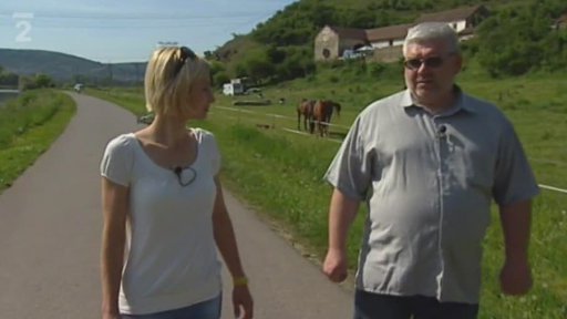 Ivo: odborník bez práce