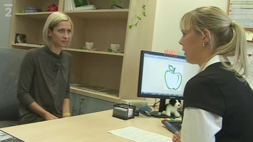 Hledá se soukromý investor