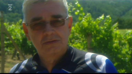 Vinice římských legionářů