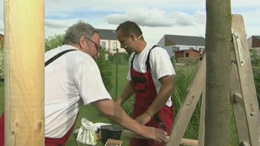 Sázení nových keřů