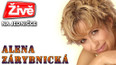 Beseda s Alenou Zárybnickou