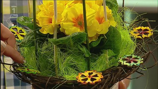 Pracujeme s překližkou