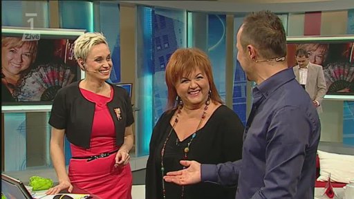 Beseda s Hanou Křížkovou