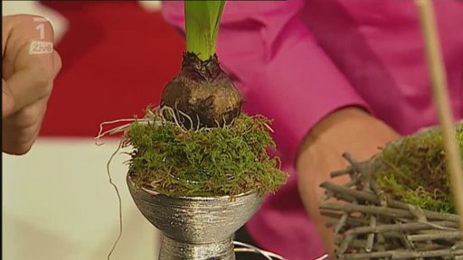 Jarní květinové dekorace