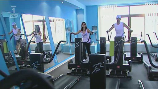 Miniformát: Metabolický typ