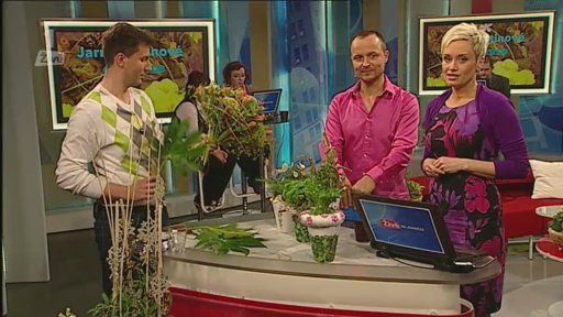 Jarní květinové dekorace