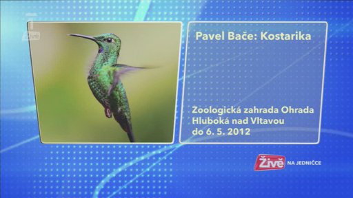 Novinky na internetu + Kulturní tipy