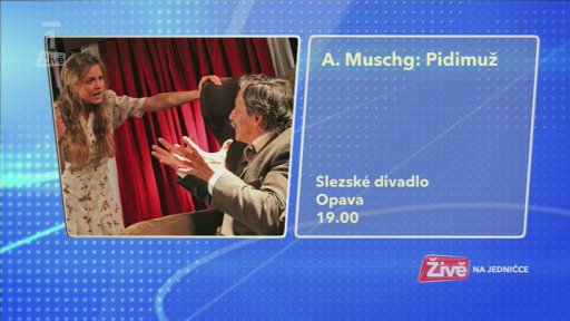 Novinky na internetu + Kulturní tipy