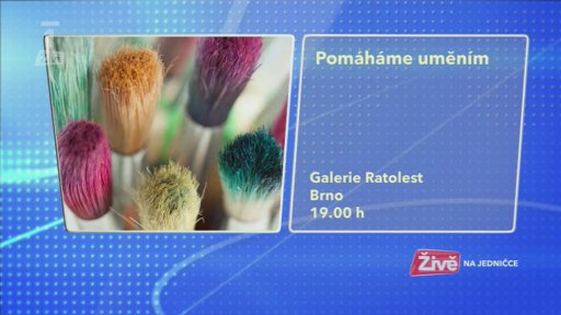 Novinky na internetu + Kulturní tipy