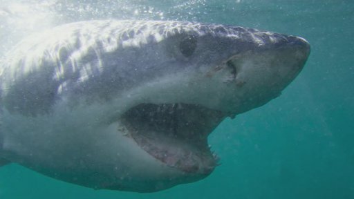 Beseda: Do Afriky s Martinem Procházkou