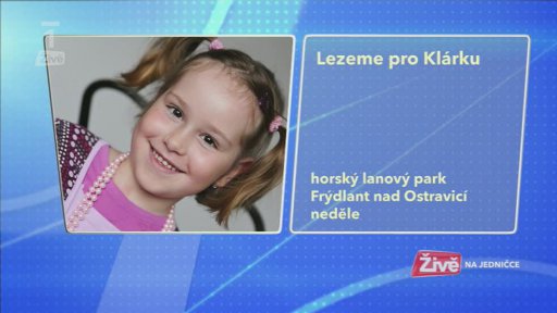 Novinky na internetu + Kulturní tipy