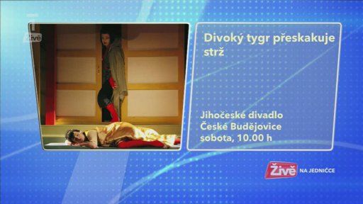 Novinky na internetu + Kulturní tipy