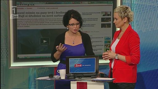 Reakce na webu + Novinky na internetu