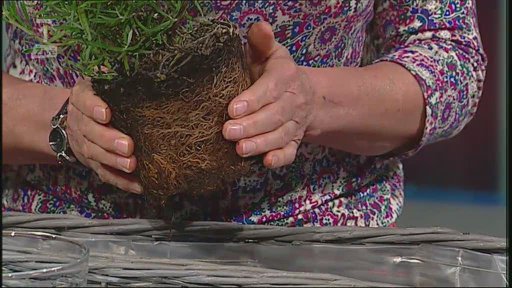 Zakládáme bylinkovou zahrádku