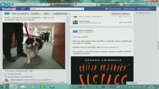 Novinky na internetu + Reakce na webu