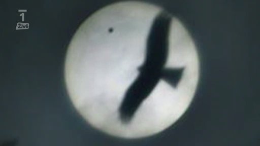 Miniformát: Skokan týdne