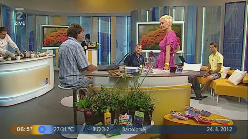 Poradna: Zahrada v babím létě