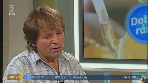 Poradna: Zahrada v babím létě