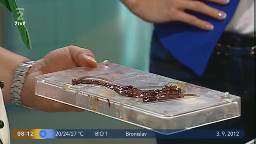 Vaříme královskou čokoládu