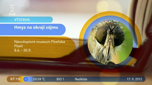 Novinky na internetu + Kulturní tipy