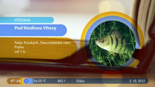 Novinky na internetu + Kulturní tipy