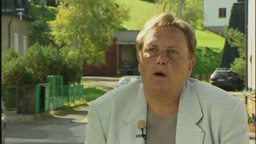 Zmizení Aleny Navrátilové