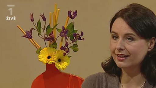 Kdy na nočník, Michaela Tilton (2. část)