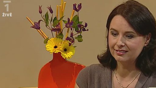 Kdy na nočník, Michaela Tilton (3. část)