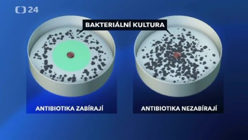Válka bakterií s antibiotiky