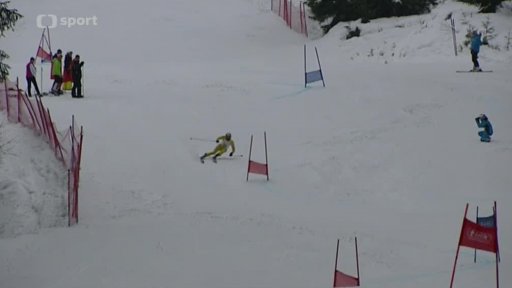 Evropský pohár lyžařů