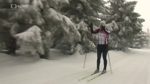 Lyžařské štafety