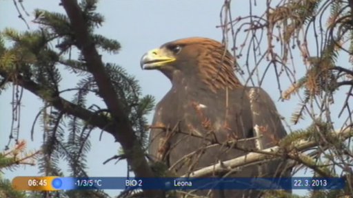 Beseda: Záchranáři zvířat