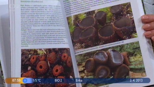 Beseda: Knižní novinky