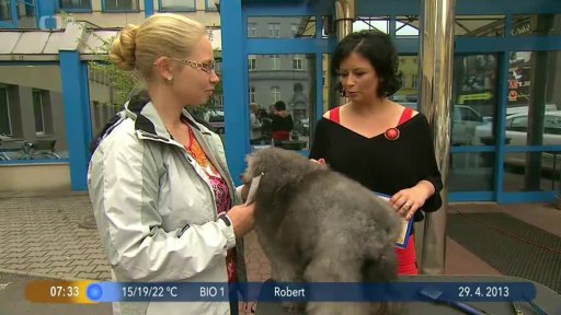 Beseda: Stříhání pejsků