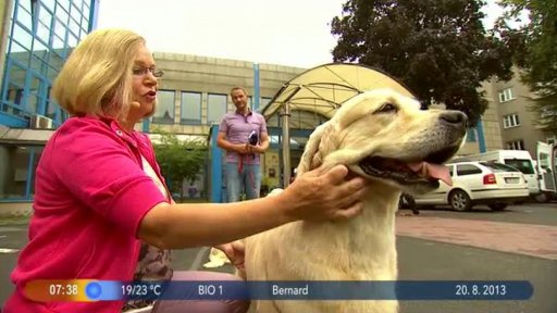 Beseda: Psí šampióni