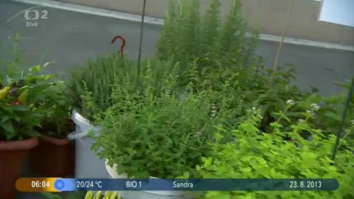 Beseda: Bylinky do každé rodinky + Soutěž