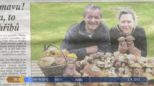 Zprávy ze společnosti