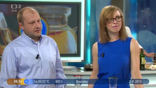 Beseda: Česká centra