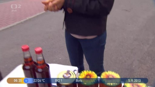 Beseda: Včelí království