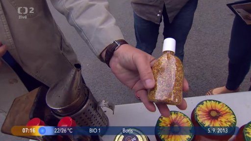 Beseda: Včelí království